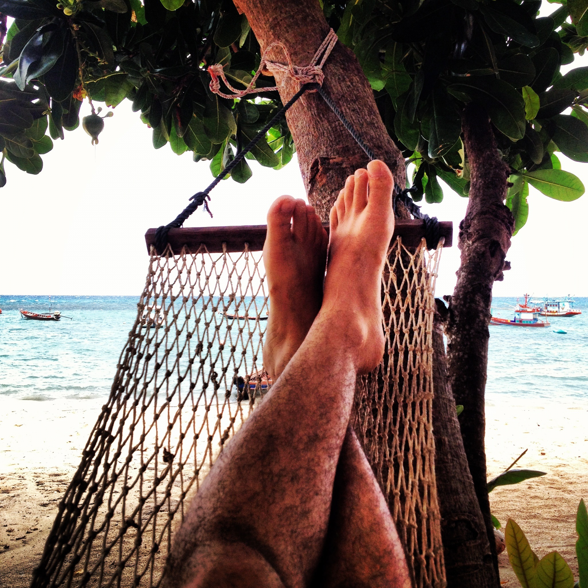 Sitting on the beach with a coconut in hand - that's what it's all about - right? As this article will explain, nothing could be further from the truth.
